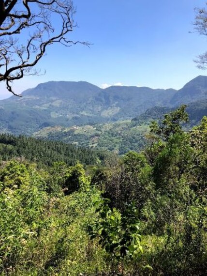 Knuckles Mountain Range-5